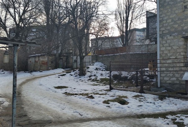 «Горло себе перережу» «Горло себе перережу»