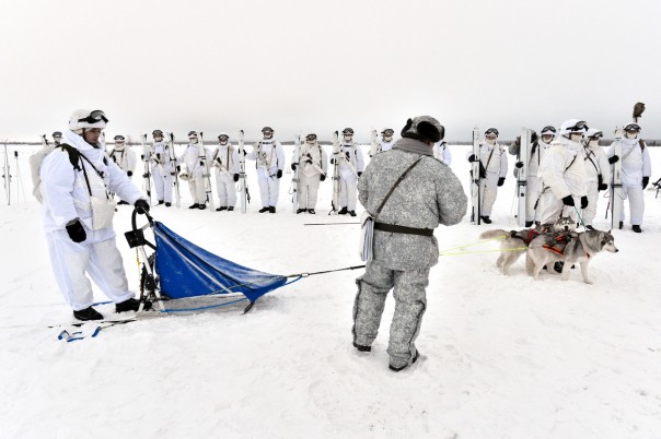 80-я отдельная арктическая мотострелковая бригада