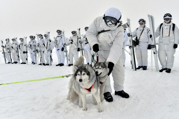 80-я отдельная арктическая мотострелковая бригада