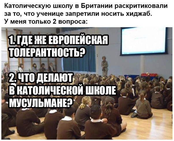 "Мыздобулы" в картинках. Смешных и не очень... 26-01-2017 "Мыздобулы" в картинках. Смешных и не очень... 26-01-2017