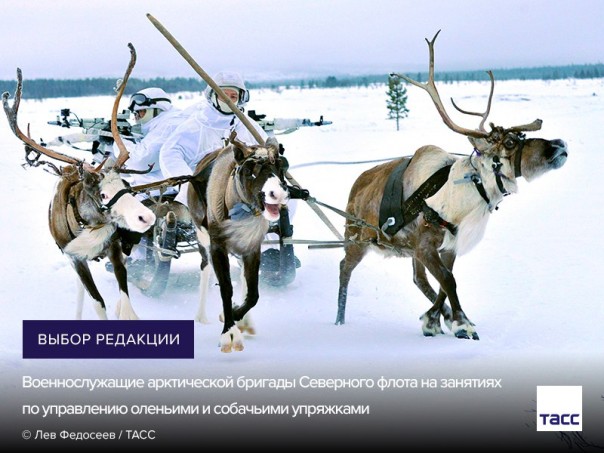 "Мыздобулы" в картинках. Смешных и не очень... 26-01-2017 "Мыздобулы" в картинках. Смешных и не очень... 26-01-2017