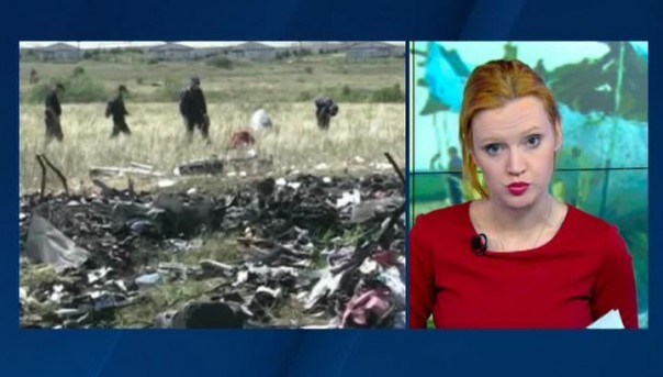 Расследование катастрофы "Боинга" над Донецком: журналисты нашли новые улики