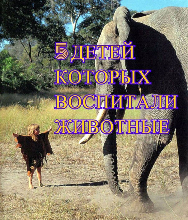 Дети, воспитанные  животными