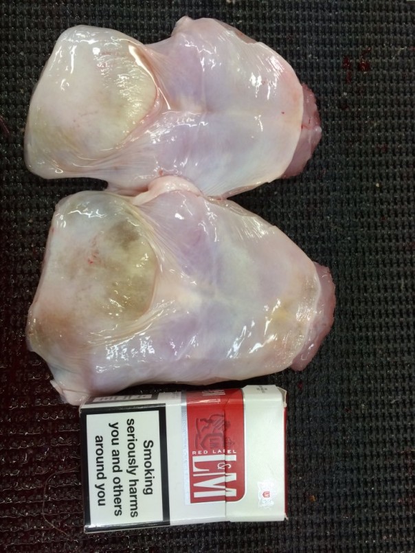 Невероятные монстры: российский моряк публикует снимки самых диковинных существ, попадающих в сети