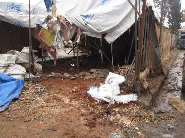 Новые жертвы боевиков в Сирии