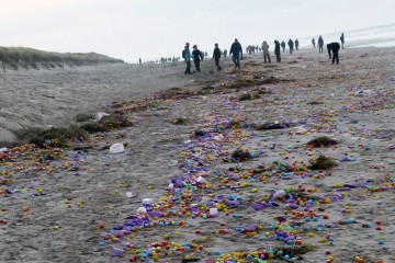 В Германии на берег вынесло тысячи яиц с игрушками