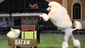 Московский театр зверей имени Дурова празднует 105-летие