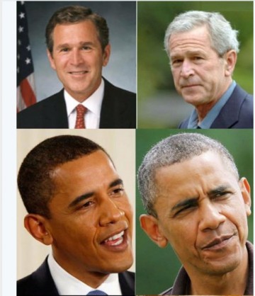 Дочирикались: сеть антироссийских Twitter-аккаунтов перестала работать в один день