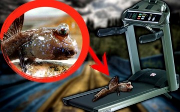 ТОП 10 Пустых трат денег из бюджета США