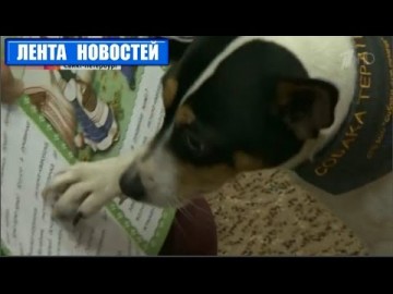 Необычный эксперимент: Любовь к книгам с помощью собак Самые благодарные слушатели