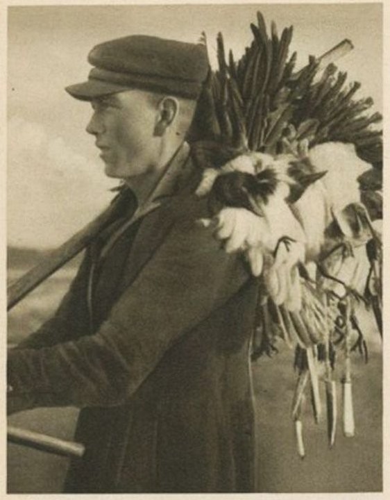 Кусатели ворон или как ловили птиц на Куршской косе 