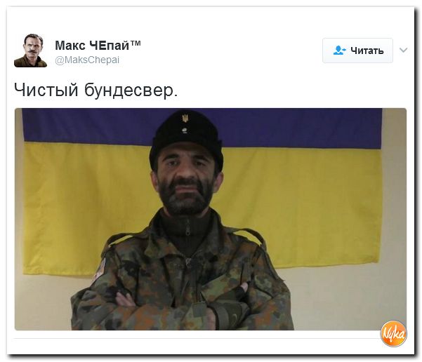 "Мыздобулы" в картинках. Смешных и не очень... 5-02-2017