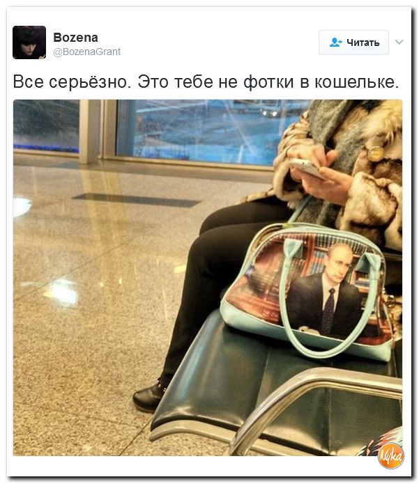 "Мыздобулы" в картинках. Смешных и не очень... 5-02-2017