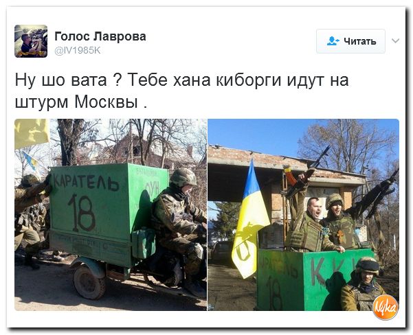 "Мыздобулы" в картинках. Смешных и не очень... 5-02-2017