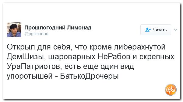 "Мыздобулы" в картинках. Смешных и не очень... 5-02-2017