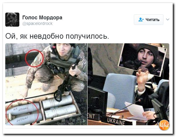 "Мыздобулы" в картинках. Смешных и не очень... 5-02-2017