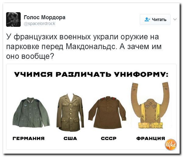 "Мыздобулы" в картинках. Смешных и не очень... 5-02-2017