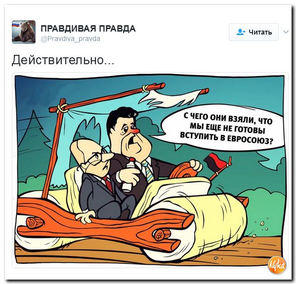 "Мыздобулы" в картинках. Смешных и не очень... 5-02-2017