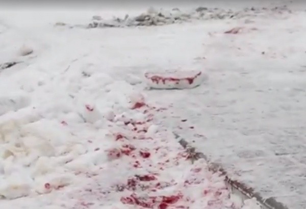 На западе Украины бушует война... за янтарь