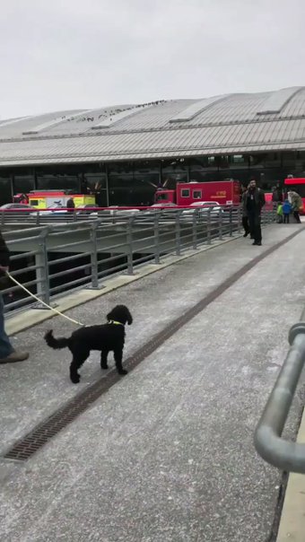 В аэропорту Гамбурга около 50 человек отравились неизвестным веществом В аэропорту Гамбурга около 50 человек отравились неизвестным веществом