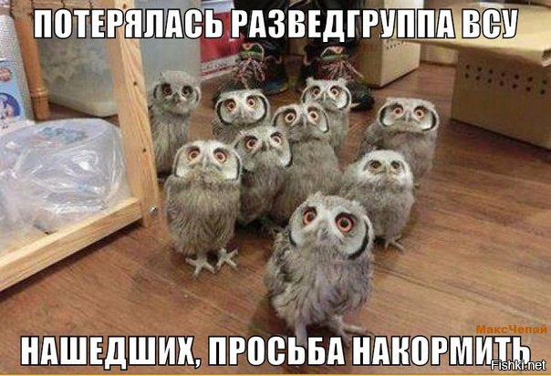 "Мыздобулы" в картинках. Смешных и не очень... 12-02-2017