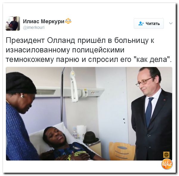 "Мыздобулы" в картинках. Смешных и не очень... 12-02-2017