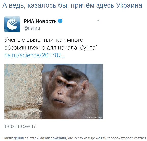 "Мыздобулы" в картинках. Смешных и не очень... 12-02-2017