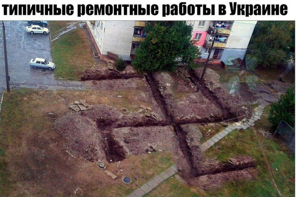 "Мыздобулы" в картинках. Смешных и не очень... 12-02-2017