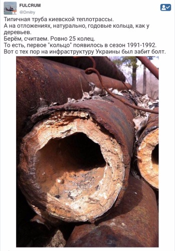 "Мыздобулы" в картинках. Смешных и не очень... 12-02-2017