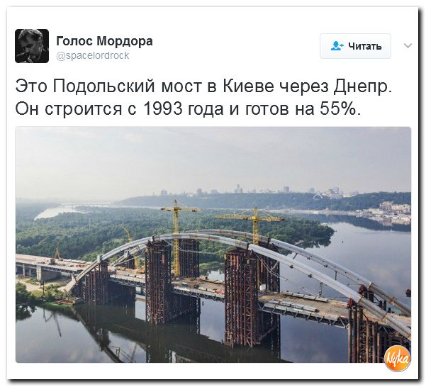 "Мыздобулы" в картинках. Смешных и не очень... 12-02-2017