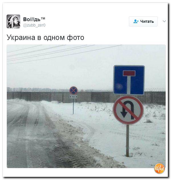 "Мыздобулы" в картинках. Смешных и не очень... 12-02-2017