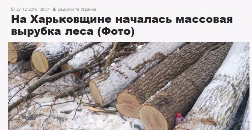 "Мыздобулы" в картинках. Смешных и не очень... 12-02-2017