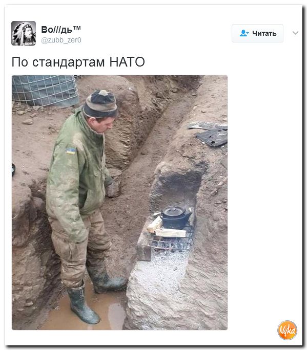 "Мыздобулы" в картинках. Смешных и не очень... 12-02-2017