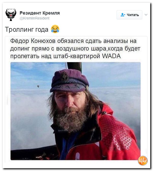 "Мыздобулы" в картинках. Смешных и не очень... 12-02-2017