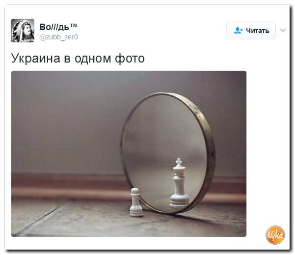 "Мыздобулы" в картинках. Смешных и не очень... 12-02-2017