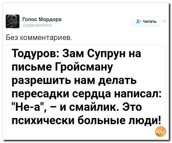 "Мыздобулы" в картинках. Смешных и не очень... 12-02-2017