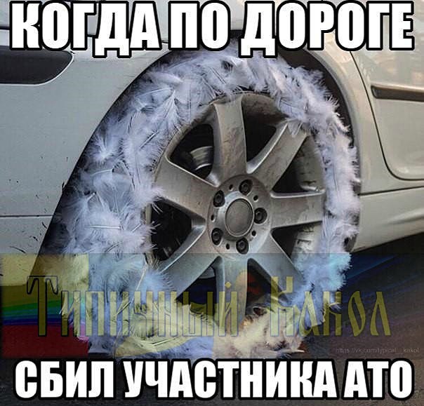 "Мыздобулы" в картинках. Смешных и не очень... 12-02-2017