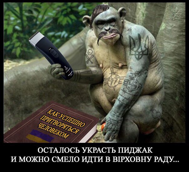 "Мыздобулы" в картинках. Смешных и не очень... 12-02-2017