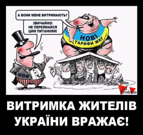 "Мыздобулы" в картинках. Смешных и не очень... 12-02-2017