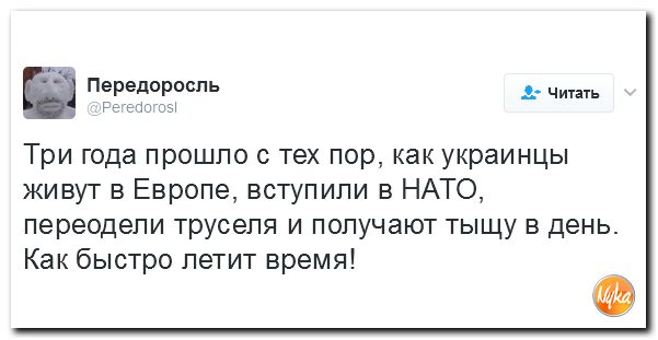 "Мыздобулы" в картинках. Смешных и не очень... 12-02-2017