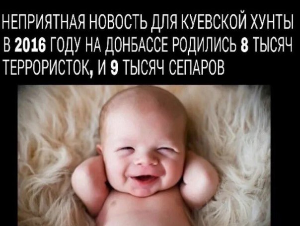 "Мыздобулы" в картинках. Смешных и не очень... 12-02-2017