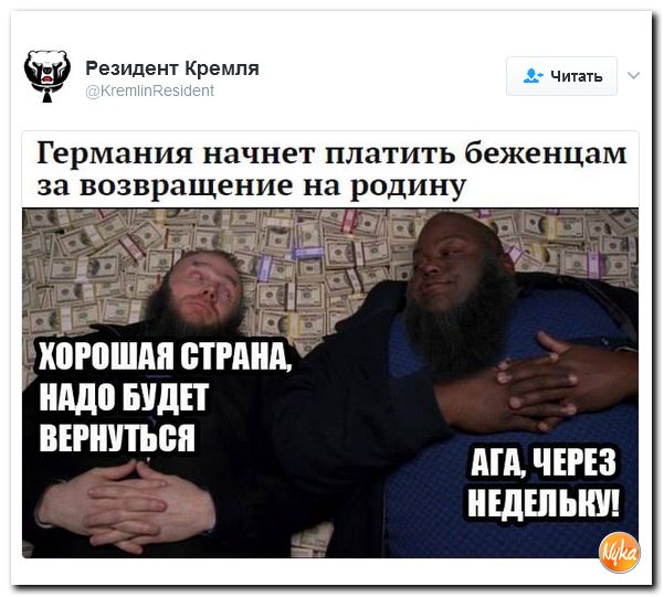 "Мыздобулы" в картинках. Смешных и не очень... 12-02-2017