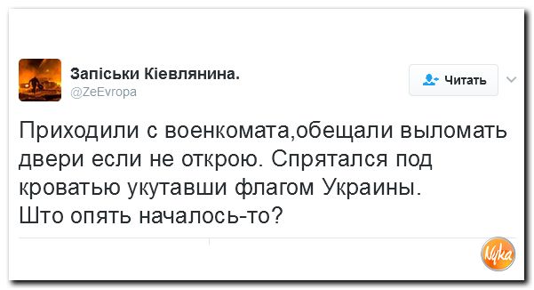 "Мыздобулы" в картинках. Смешных и не очень... 12-02-2017