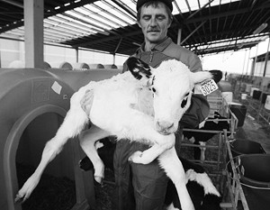 Жалобы на крепкий рубль доказывают успешность российских аграриев