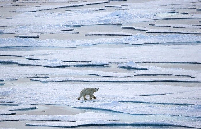 Минобороны РФ проверяет новейшую военную технику на прочность в суровых условиях Арктики Минобороны РФ проверяет новейшую военную технику на прочность в суровых условиях Арктики