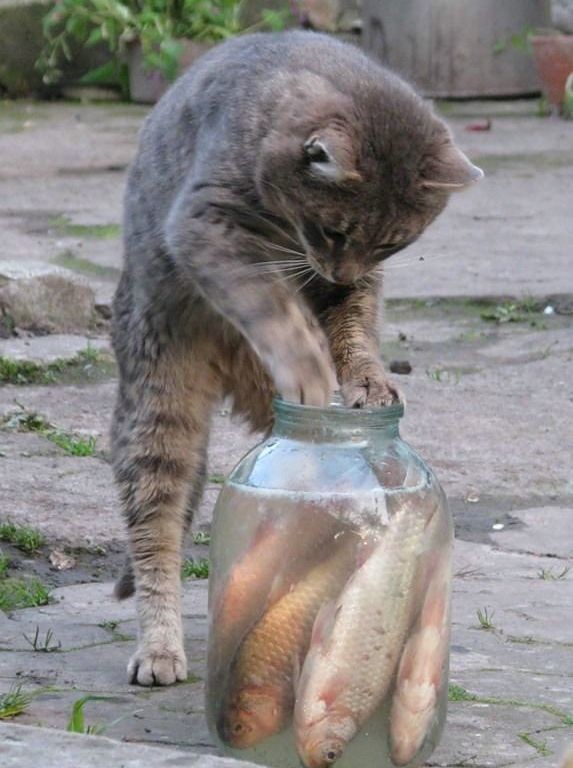 Леонид Каганов. РОСРЫБА (всем любителям рыбы и рыбалки посвящается)