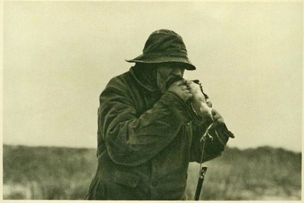 Кусатели ворон или как ловили птиц на Куршской косе 