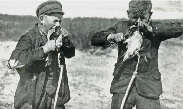 Кусатели ворон или как ловили птиц на Куршской косе 