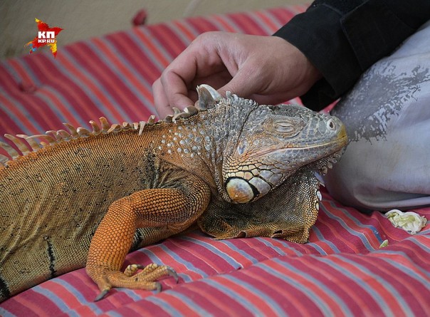 Самая горячая точка на Донбассе. Промзона Авдеевки Самая горячая точка на Донбассе. Промзона Авдеевки