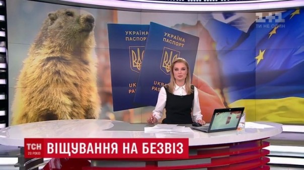 Петух, горилла, сурок и астрологи предсказали Украине безвиз